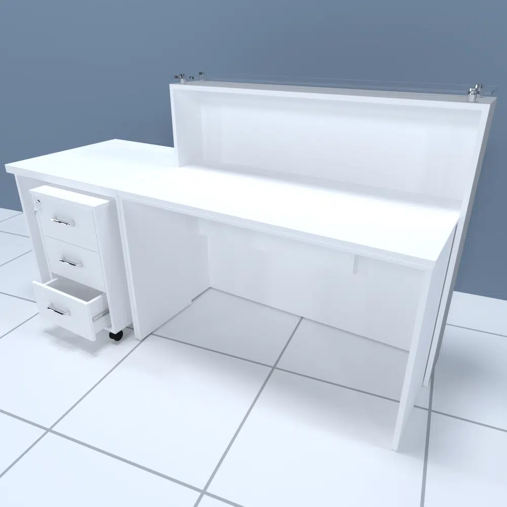 Recepcion moderna - Imagen 2