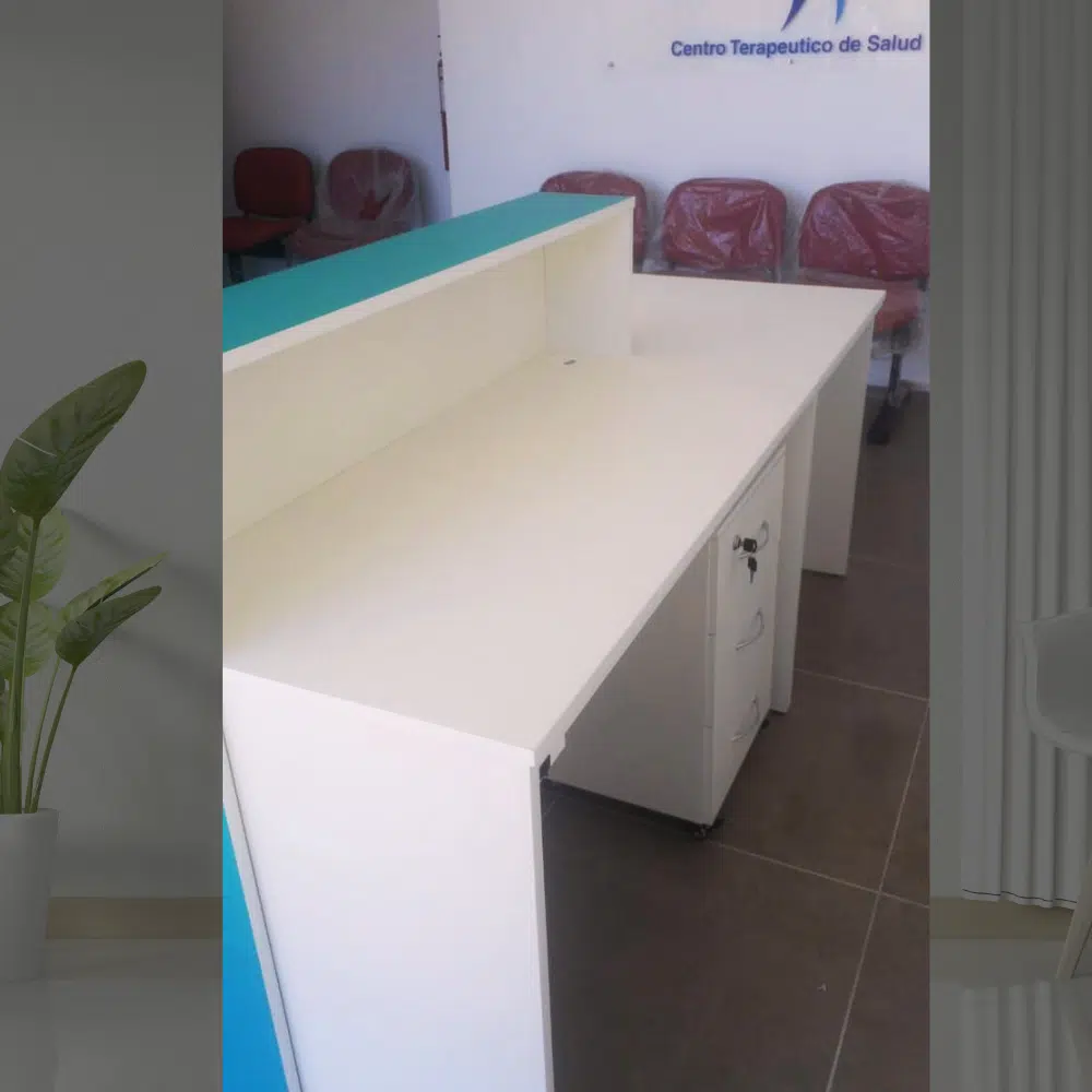 Recepcion moderna - Imagen 4